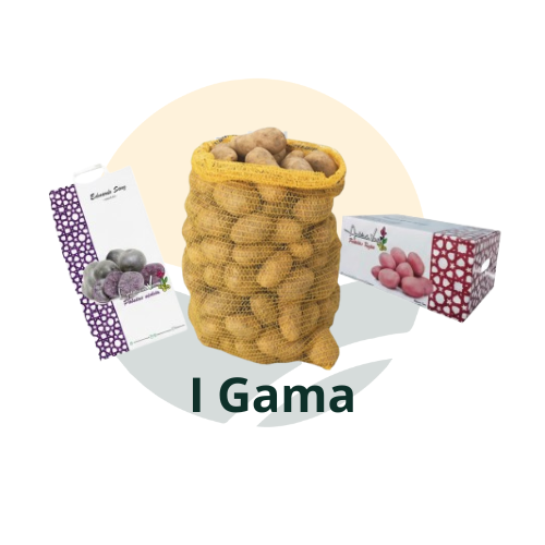 Patata I Gama