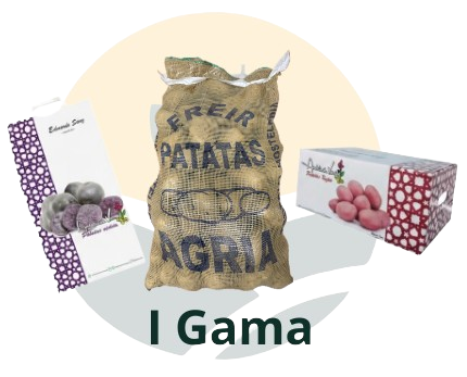 Patata I Gama